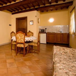Vacation rental farmhouse apartment in Castiglion Fiorentino