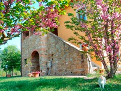 Foto agriturismo in Toscana | Fotografie e immagini appartamenti e camere per vacanze