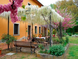 Photos of Tuscan farm holidays | Pictures and images of vacation apartments and rooms in a farmhouse