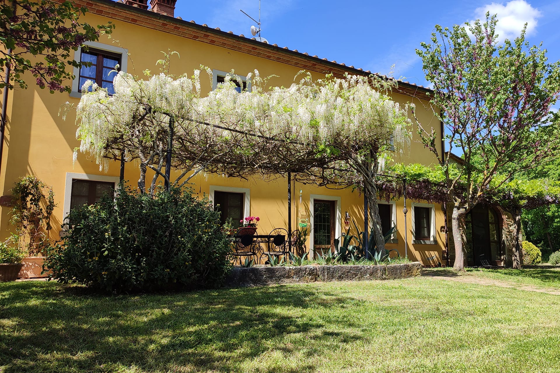 Photos of Tuscan farm holidays | Pictures and images of vacation apartments and rooms in a farmhouse